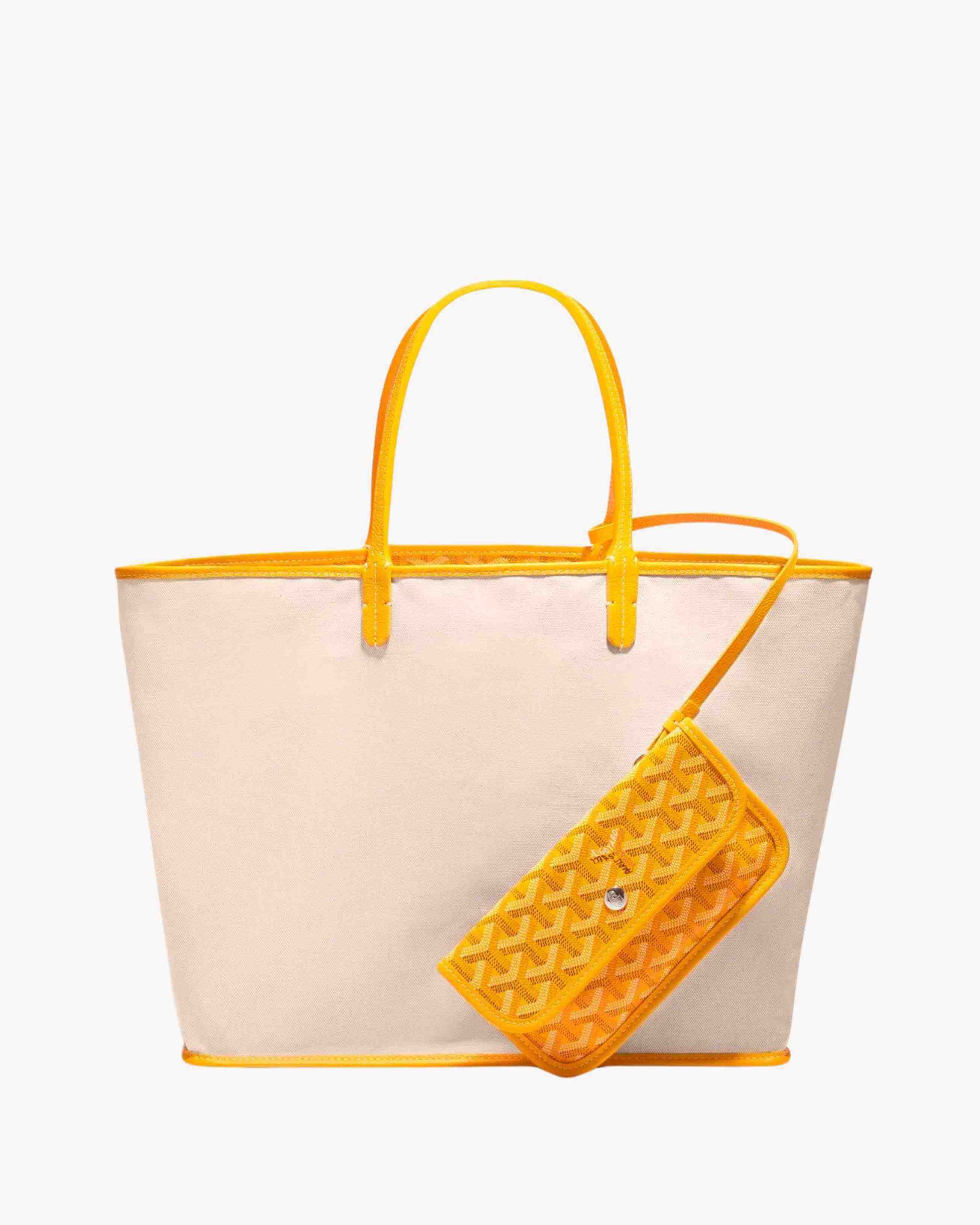 Goyard Saint Louis PM Bag